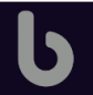 Bluradish Group logo